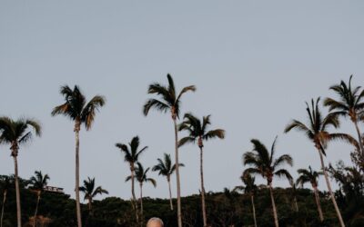 Famille Amélie à Grand bois